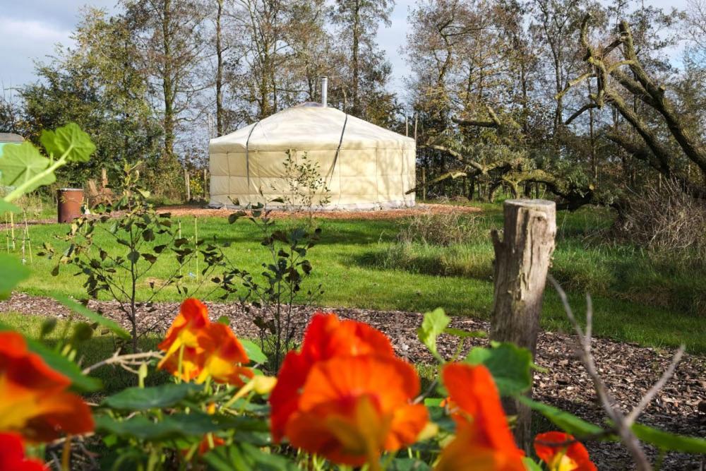 Yurt Klyndobbe Bed and Breakfast Veenwoudsterwal Buitenkant foto